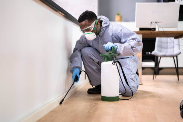 Real Estate Pest Inspections in Minonk, IL